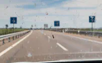 Blaming bug for car crash, driver wins millions in lawsuit