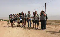 צפרים מהעולם מתחרים בזיהוי ציפורים
