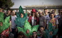 The Cannabis Election