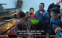 מזיזים הרים וגבעות              