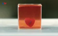 ILTV Understanding the revolutionary "heart printing"