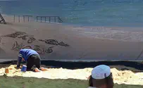 צילום: יח"צ למעלה מאלף מבקרים בפסטיבל החול
