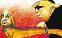 Der New York Stürmer