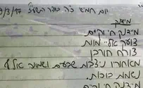 צילום: מתוך הסרטון מיידנק - יומן מסע