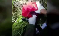 תיעוד: סוכלה הברחת סמים מלבנון