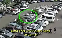 צפו: בעלת הרכב לא וויתרה
