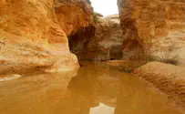 טיול:בריכת שחייה בלב המדבר