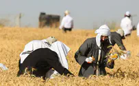 הכנה רוחנית לל"ג בעומר