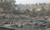 'I left the house with my guitar and came back to ashes'