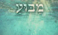 פרט וכלל – ביקורת דיסק         