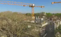 סיפור צמיחתם של מוסדות תורת החיים
