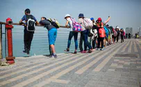 Tourism rises 11%