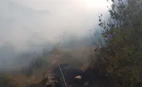 הושגה שליטה על השריפה באזור אבן ספיר