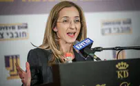Understanding the Israeli political arena