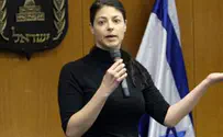 על מה מסכימים אריה אלדד ומירב מיכאלי?