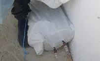 Stolen Torah scrolls found - in Palestinian barn
