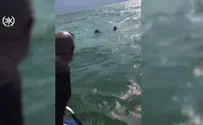צפו: חילוץ דרמטי בכנרת