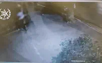 תיעוד: ערבי גנב תכשיטים מקשישות