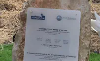 צילום: עמותת איילים "ססיל ודיוויד תמיד רצו לבוא לארץ"