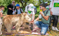 בר מצווה מרגשת בספארי