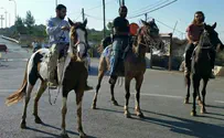 Save an Israeli educational farm for amazing misunderstood teens