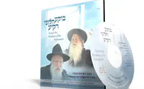 דדי בן עמי שר: המנון לארץ ישראל