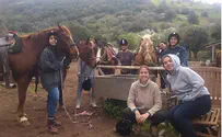חדש באיילת השחר: הכשרת מדריכות רכיבה