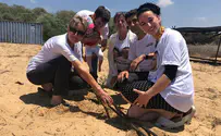צילום: ללא קרדיט לנתניהו היה "ארגז כלים" להשבת הבנים