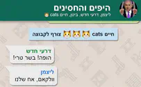 סרטון ה"וואטסאפ" החדש מבית לפיד