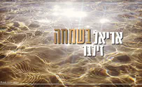 אריאל זילבר בסינגל רביעי: בשמחה