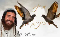 אביעד דרף פותח את עונת החתונות