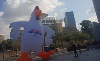 מיצג מחאה מול הקריה: דורשים ניצחון
