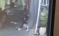 Watch: Arab tries to strangle Israeli worker at Allenby Crossing