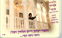 שנה אחר פטירת אחיו יצחק רייס שר נחמו