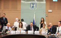 "הצעת החוק לא חוקתית"