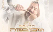 שמעון סיבוני: המלך בשדה