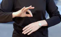 שפת הסימנים במליאת הכנסת?