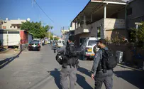 אלימים זה לזה                  