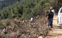 קלנועית הידרדרה לוואדי: ארבעה נפצעו
