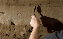 Watch: 'Early Bronze Age New York of our region'