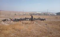 Поселенцы: это наш ответ на клевету и ложь