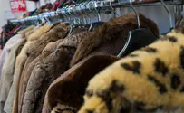 צילום: איסטוק יוגבל הסחר בפרוות של חיות בר