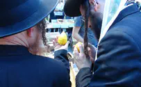 ה'מותגים' של ארבעת המינים