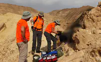 נתקעו במדבר בלי מים ועם 8% סוללה