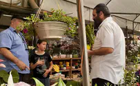 "מבצע לולב" של חב"ד    