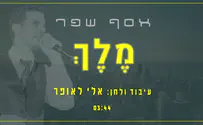 אלי לאופר מגיש: אסף שפר – "מלך"