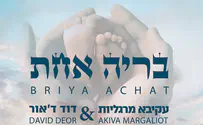 עקיבא מרגליות ודוד ד'אור: בריה אחת