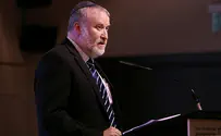 "הכנסת צריכה להכין תיק נגד מנדלבליט"