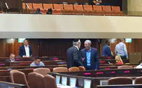 צילום: דוברות לפתור את מצוקת תקציב תנועות הנוער