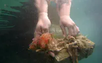 Woman goes numb after touching animal that looks like brain